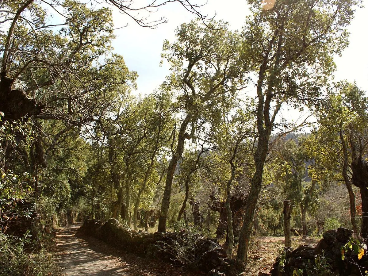 El Rincon De Marcelino Pension Cortelazor