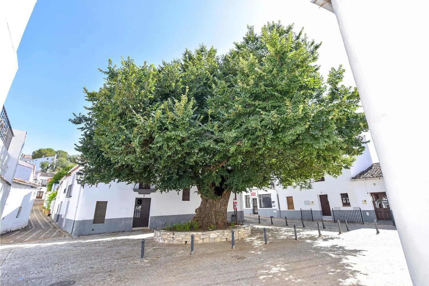 El Rincon De Marcelino Guest House Cortelazor 0*,  Spain