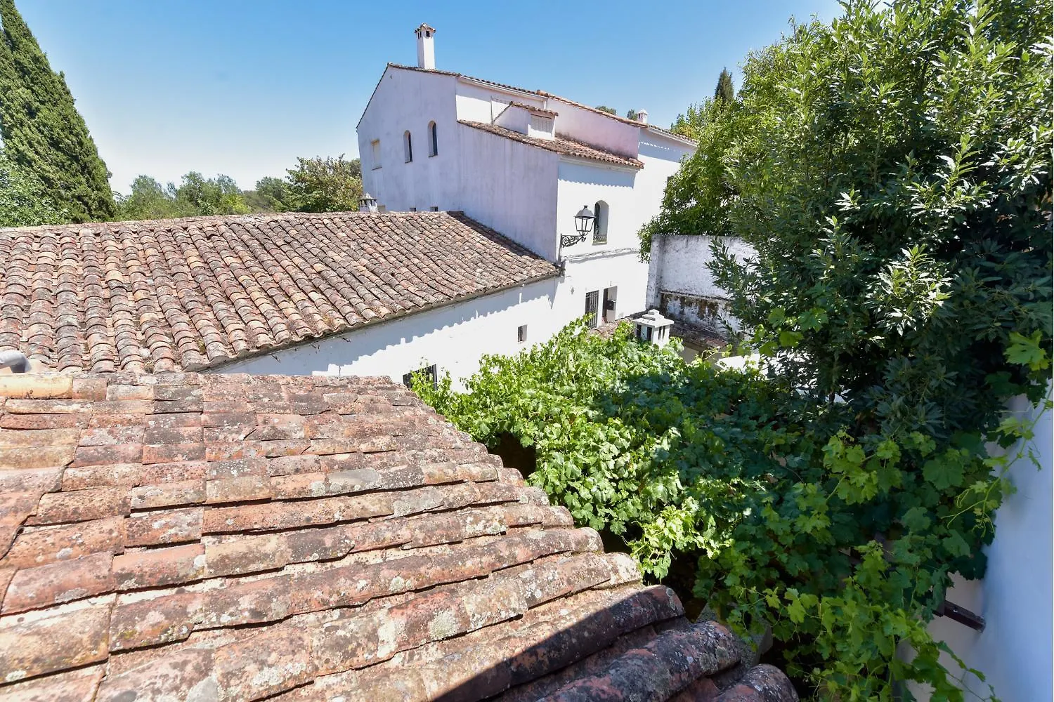 El Rincon De Marcelino Guest House Cortelazor Country house